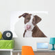 Young Pit-bull Wall Decal