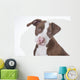 Young Pit-bull Wall Decal