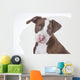 Young Pit-bull Wall Decal