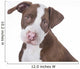 Young Pit-bull Wall Decal