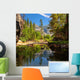 Yosemite National Park Trees Wall Decal