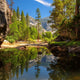 Yosemite National Park Trees Wall Decal