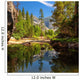Yosemite National Park Trees Wall Decal