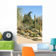 Cacti Species Formal Cactus Wall Decal