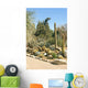 Cacti Species Formal Cactus Wall Decal