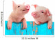 Funny Fenced Pigs Wall Decal
