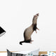 Fouine Wall Decal