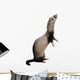 Fouine Wall Decal