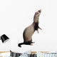 Fouine Wall Decal