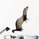 Fouine Wall Decal