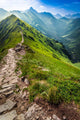 Footpath Mountains Poland Wall Decal
