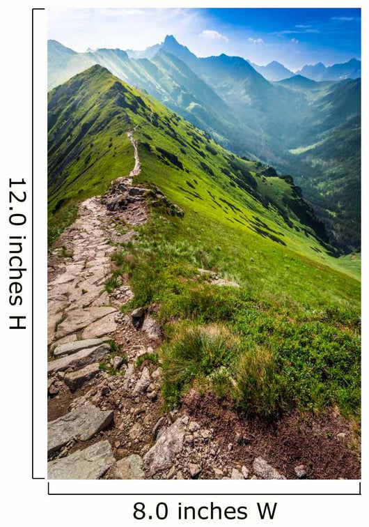 Footpath Mountains Poland Wall Decal