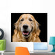 Golden Retriever Wall Decal