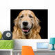 Golden Retriever Wall Decal