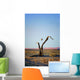 Balloon above Namib Desert Wall Decal