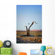 Balloon above Namib Desert Wall Decal