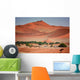 Oasis Namib Desert Wall Decal
