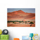 Oasis Namib Desert Wall Decal