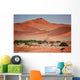Oasis Namib Desert Wall Decal