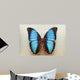 Blue Morpho Butterfly Wall Decal