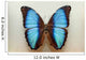 Blue Morpho Butterfly Wall Decal