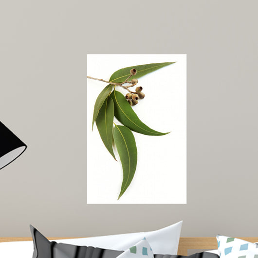 Gum Leaves and Gum Wall Decal