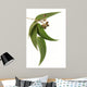Gum Leaves and Gum Wall Decal