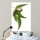 Gum Leaves and Gum Wall Decal