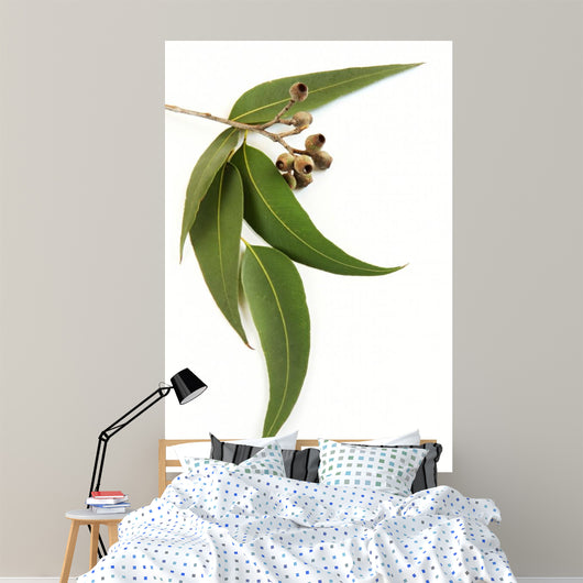Gum Leaves and Gum Wall Decal