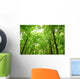 Sunlight Trees Green Forest Wall Decal