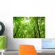 Sunlight Trees Green Forest Wall Decal