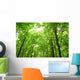 Sunlight Trees Green Forest Wall Decal