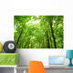 Sunlight Trees Green Forest Wall Decal