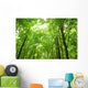 Sunlight Trees Green Forest Wall Decal