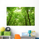Sunlight Trees Green Forest Wall Decal