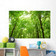 Sunlight Trees Green Forest Wall Decal
