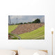 Stadium Crowd Wall Decal