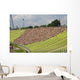 Stadium Crowd Wall Decal