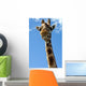 Giraffe Wall Decal