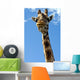 Giraffe Wall Decal