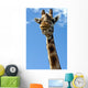Giraffe Wall Decal