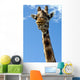 Giraffe Wall Decal