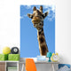 Giraffe Wall Decal