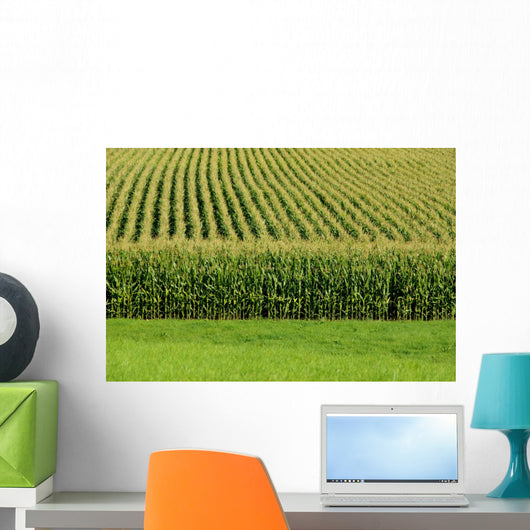 Up Cornfield Wall Decal