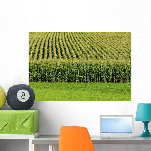 Up Cornfield Wall Decal