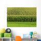 Up Cornfield Wall Decal