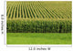 Up Cornfield Wall Decal