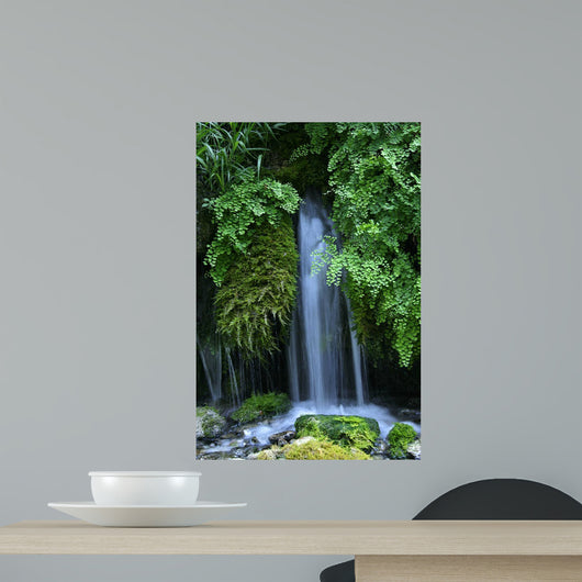 Forest Waterfall Wall Decal