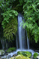 Forest Waterfall Wall Decal
