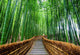 Path to Bamboo Forest Wall Decal